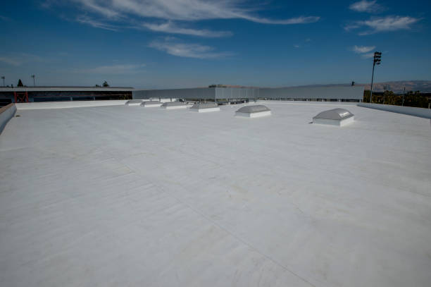 Best Emergency Roof Repair Services  in Newton, AL